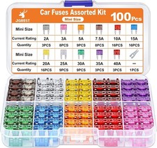 100x Mini-Flachsicherungen 12V